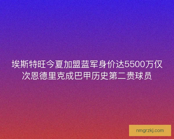 埃斯特旺今夏加盟蓝军身价达5500万仅次恩德里克成巴甲历史第二贵球员
